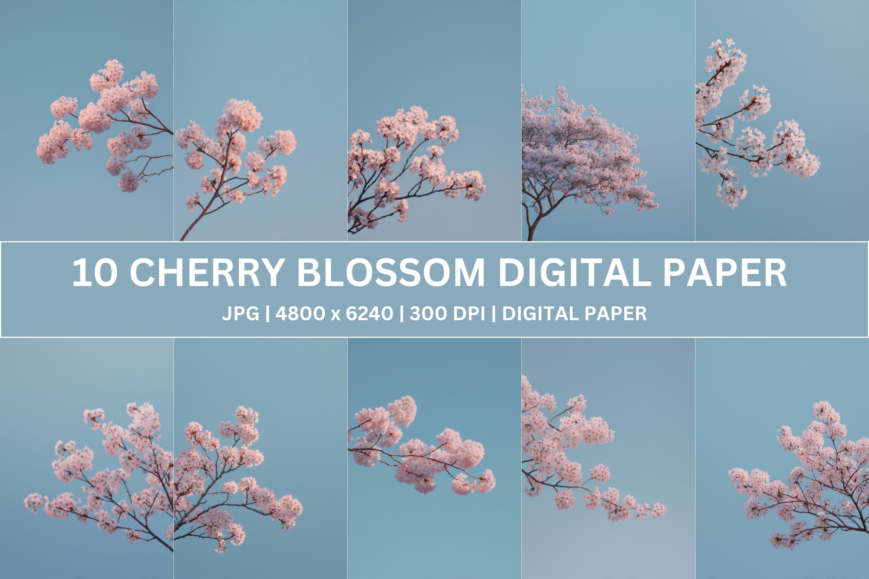 Serene Azure Sakura Digital Paper Graphic by ashira.creations · Creative Fabrica